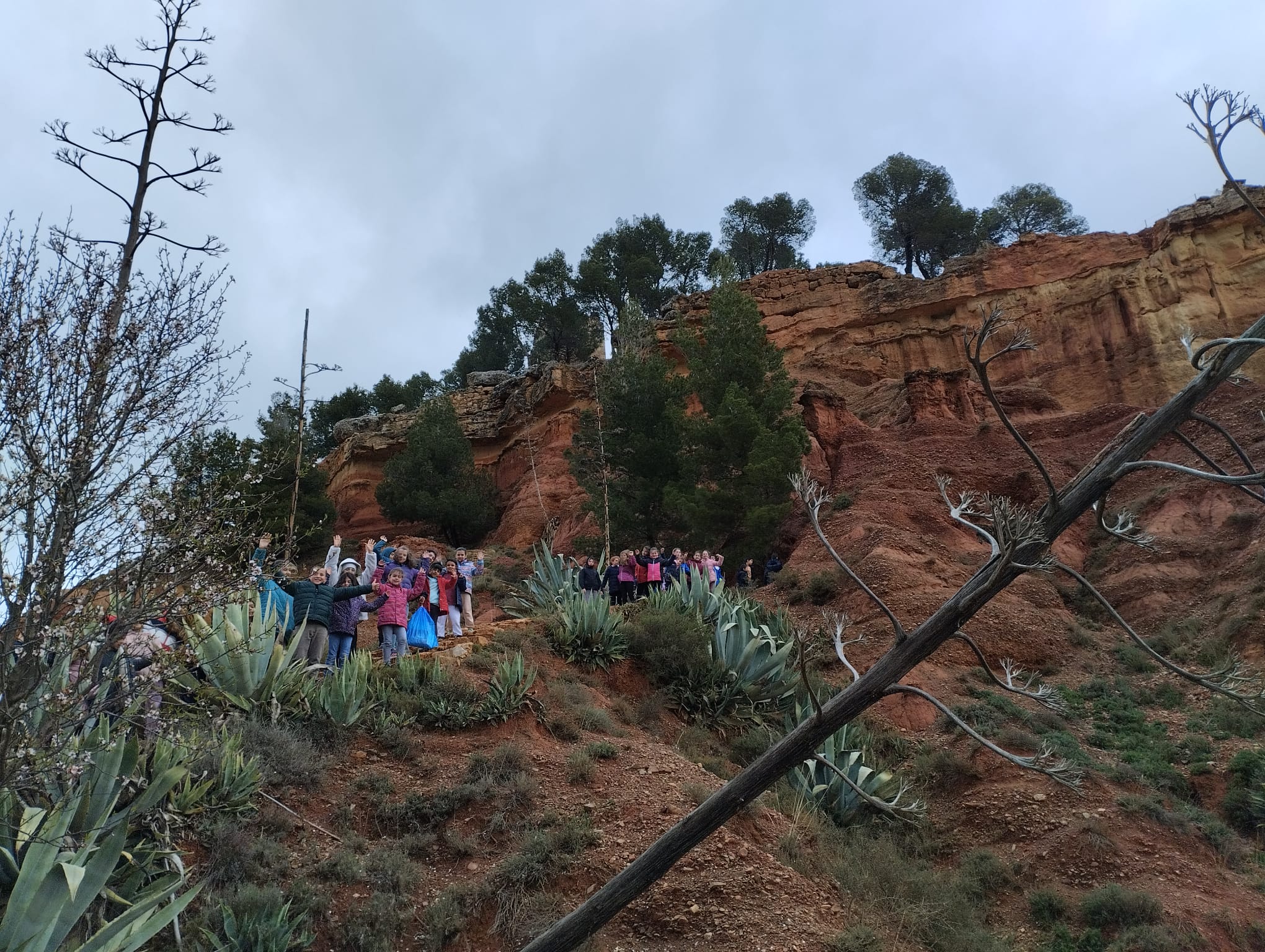 Excursión con niños de Primaria 